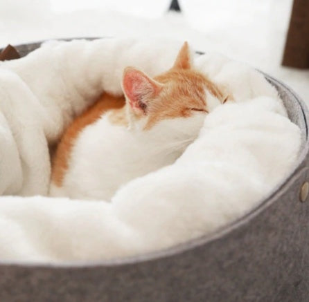Pet crates and bed