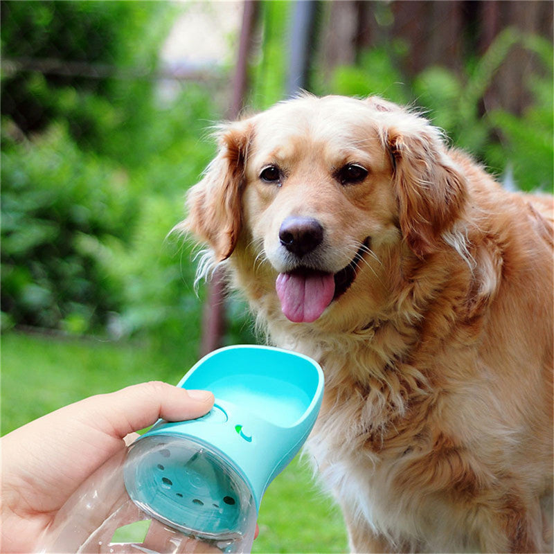 pet supplies