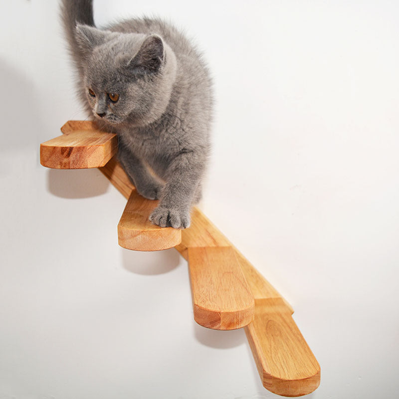 cat accessories